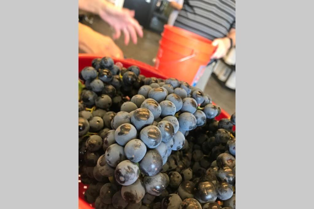 Cabernet Cottage Котънууд Екстериор снимка